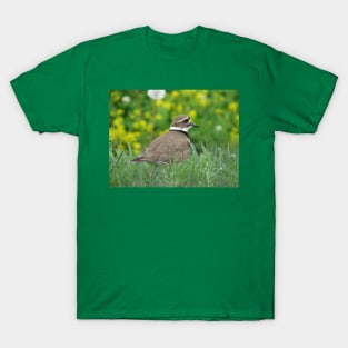 Killdeer Bird in a Field of Flowers T-Shirt